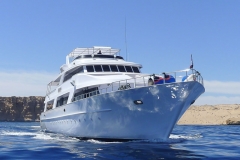 Egypte - Croisière plongée à bord de l'Atlantis