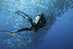 Séjour plongée sur Ibo Island - Archipel des Quirimbas