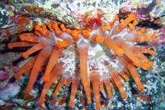 Espagne - Séjour à Lanzarote, îles Canaries