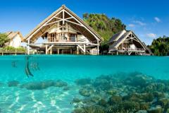 Indonésie - Séjour à Irian Jaya, Papouasie Occidentale