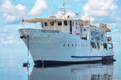 Philippines - Croisière plongée Tubbataha Reef sur Seadoors