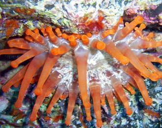 Espagne - Séjour à Lanzarote, îles Canaries